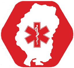 LSFD EMS Emblem